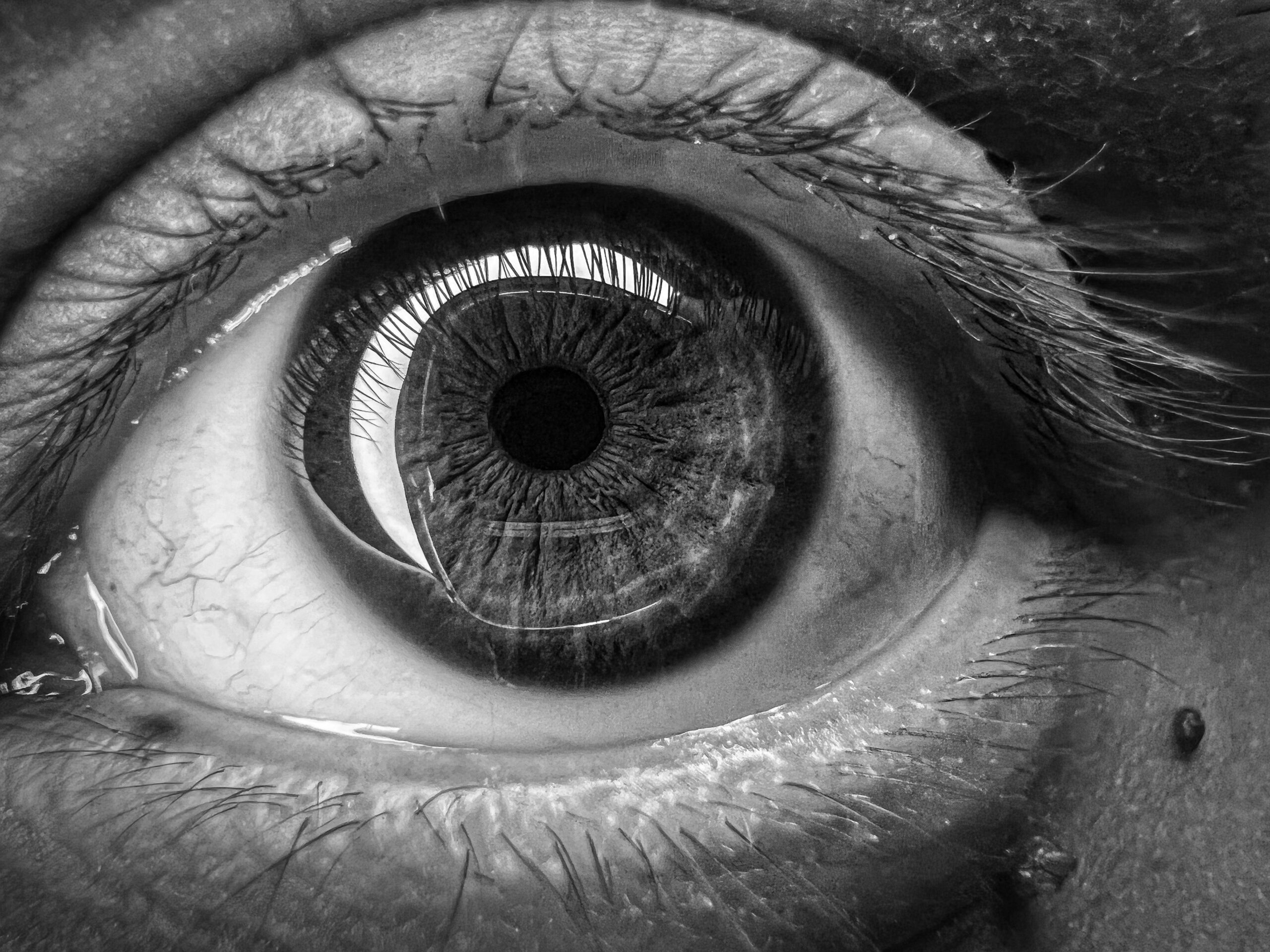 Human eye BTXExpert